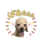 リンとユウのスタンプ5（個別スタンプ：7）