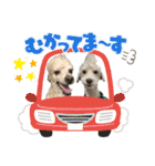 リンとユウのスタンプ5（個別スタンプ：9）