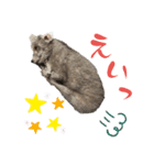 リンとユウのスタンプ5（個別スタンプ：11）