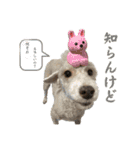 リンとユウのスタンプ5（個別スタンプ：12）
