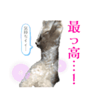 リンとユウのスタンプ5（個別スタンプ：17）