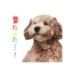 リンとユウのスタンプ5（個別スタンプ：19）
