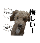 リンとユウのスタンプ5（個別スタンプ：24）