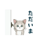 【家族連絡】仔猫のぽんにゃん☆毎日使える（個別スタンプ：21）