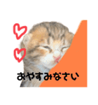 天才そらちんの友達（個別スタンプ：2）