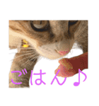 天才そらちんの友達（個別スタンプ：3）