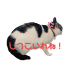天才そらちんの友達（個別スタンプ：4）