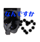 天才そらちんの友達（個別スタンプ：8）