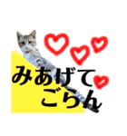 天才そらちんの友達（個別スタンプ：10）