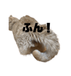 天才そらちんの友達（個別スタンプ：19）