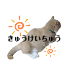 天才そらちんの友達（個別スタンプ：22）