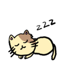 子猫のみーちゃんスタンプ（個別スタンプ：1）