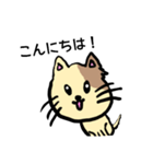 子猫のみーちゃんスタンプ（個別スタンプ：2）