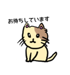 子猫のみーちゃんスタンプ（個別スタンプ：5）