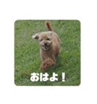 タムのスタンプ1(Deluxe)（個別スタンプ：2）