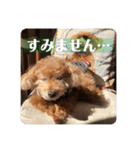 タムのスタンプ1(Deluxe)（個別スタンプ：3）
