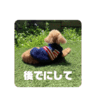 タムのスタンプ1(Deluxe)（個別スタンプ：11）