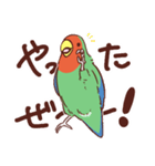 主張の激しいコザクラインコ3（個別スタンプ：7）