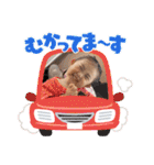 えみるーはやと（個別スタンプ：12）