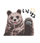 ヒグマだよ★文字あり（個別スタンプ：8）