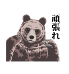 ヒグマだよ★文字あり（個別スタンプ：14）