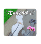 JOY＆LOVEたまにコマ（個別スタンプ：2）