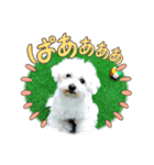JOY＆LOVEたまにコマ（個別スタンプ：4）