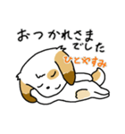 ほのぼのワンワン！【修正版】（個別スタンプ：4）