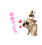 こーちゃん(日常)（個別スタンプ：5）