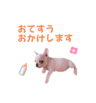 こーちゃん(日常)（個別スタンプ：14）