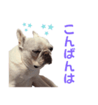 こーちゃん(日常)（個別スタンプ：18）