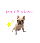 こーちゃん(日常)（個別スタンプ：19）