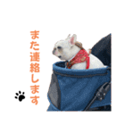 こーちゃん(日常)（個別スタンプ：20）