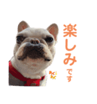 こーちゃん(日常)（個別スタンプ：23）