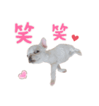 こーちゃん(日常)（個別スタンプ：24）