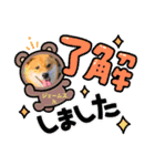 柴犬ジェームスJr.11（個別スタンプ：15）