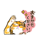 keng cat stamp1（個別スタンプ：5）