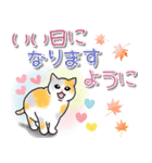 色んなネコちゃん♡毎日使える（個別スタンプ：5）