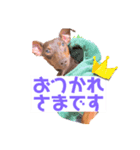 ミニピン 海鮮丼くん（個別スタンプ：2）