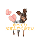 ミニピン 海鮮丼くん（個別スタンプ：3）