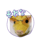 がるるちゃんとハピラキ～☆（個別スタンプ：1）