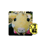 がるるちゃんとハピラキ～☆（個別スタンプ：5）