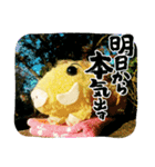 がるるちゃんとハピラキ～☆（個別スタンプ：6）