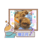 マルスFamil 7(ブリュッセルグリフォン)（個別スタンプ：8）