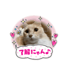 ニャンコのレオン（個別スタンプ：6）