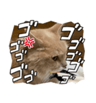 ニャンコのレオン（個別スタンプ：12）