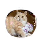 ニャンコのレオン（個別スタンプ：13）