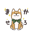 でふぉるめ柴犬スタンプ 赤 vol.1（個別スタンプ：1）