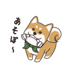 でふぉるめ柴犬スタンプ 赤 vol.1（個別スタンプ：16）