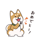 でふぉるめ柴犬スタンプ 赤 vol.1（個別スタンプ：21）